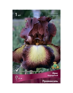 Ирис бородатый «Провансаль», I р-р, 1 шт. 85 h(см), Осень 2025 Поиск