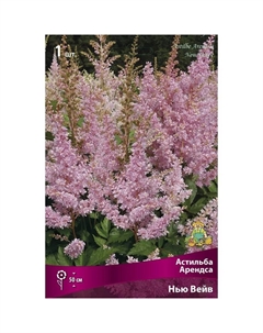 Астильба «Арендса Нью Вейв», I р-р, 1 шт. 50 h(см), Осень 2024 Поиск