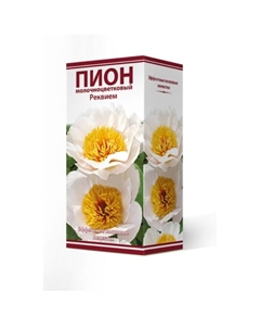 Пионы молочноцветковые Реквием, 2-3. р-р, 1 шт. 95 h(см), Осень 2024 Поиск