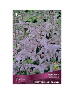 Астильба китайская «Глиттер энд Гламур», I р-р, 1 шт. 60-70 h(см), Осень 2024 Поиск