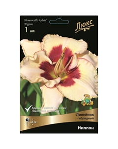 Лилейник гибридный «Ниппон», I р-р, 1 шт. 65 h(см), Осень 2025 Поиск
