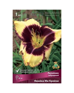 Лилейник гибридный «Ямайка Ми Крейзи», I р-р, 1 шт. 60 h(см), Осень 2025 Поиск