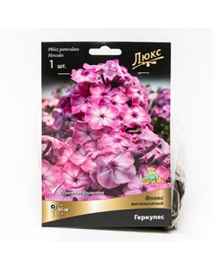 Флокс метельчатый Геркулес, I р-р, 1 шт. 65 h(см), Осень 2024 Поиск