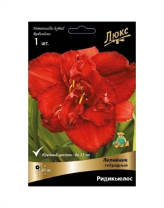 Лилейник гибридный «Ридикюлос», I р-р, 1 шт. 65 h(см), Осень 2022 Поиск