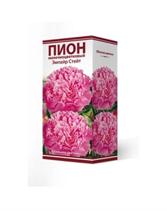 Пионы молочноцветковые Эмпайр Стейт, 2-3 р-р, 1 шт. 100 h(см), Осень 2022 Поиск