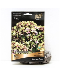 Флокс метельчатый Мистик Грин, I р-р, 1 шт. 55 h(см), Осень 2025 Поиск