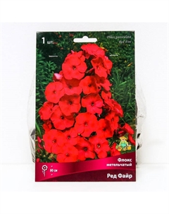 Флокс метельчатый Ред Файр, I р-р, 1 шт. 80 h(см), Осень 2025 Поиск