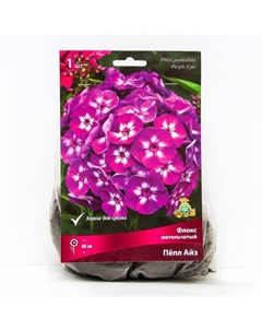 Флокс метельчатый Пёпл Айз, I р-р, 1 шт. 60 h(см), Осень 2025 Поиск