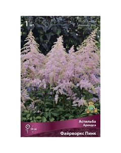 Астильба «Арендса Файрворкс Пинк», I р-р, 1 шт. 50 h(см), Осень 2024 Поиск