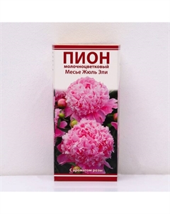 Пионы молочноцветковые и гибриды «Месье Жюль Эли», 1 шт., р-р 2-3, Осень 2025 Поиск