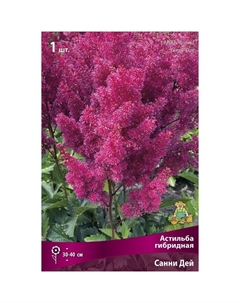 Астильба гибридная «Санни Дей», I р-р, 1 шт. 30-40 h(см), Осень 2025 Поиск