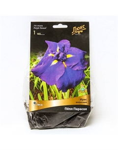 Ирис японский «Пёпл Парасол», I р-р, 1 шт. 100 h(см), Осень 2024 Поиск