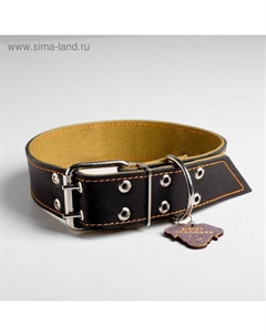 Ошейник комбинированный кожа/брезент, 53 - 66 см, 71 х 4.5 см Пушистое счастье