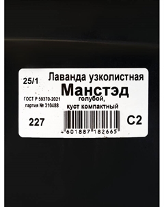 Саженец Лаванда узколистная Манстэд, горшок С2, 1 шт. Поиск