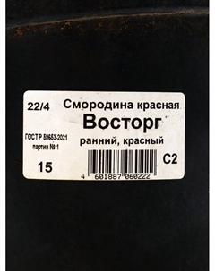 Саженец Смородина красная Восторг, горшок С2, 1 шт. Поиск