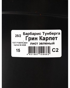 Саженец Барбарис Тунберга «Грин Карпет», горшок С2, 1 шт., Лето 2025 Поиск