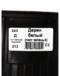 Саженец Дерен белый видовой, горшок С2, 1 шт. Поиск