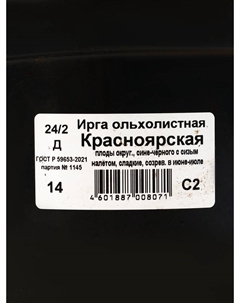 Саженец Ирга ольхолистная Красноярская, горшок С2, 1 шт. Поиск