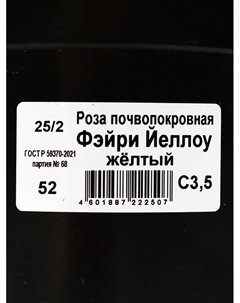 Саженец Роза почвопокровная «Фэйри Йеллоу», C3.5 горшок, Н15-25, 1 шт. Поиск