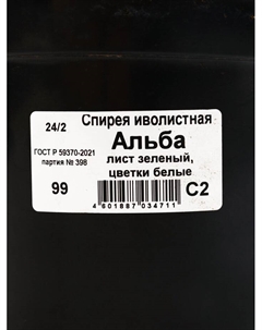 Саженец Спирея иволистная Альба, С2 горшок, Н10-50 высота, 1 шт. Поиск