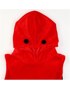 Карнавальный набор «Прекрасная Божья коровка», платье, ободок, рост 110-116 см Волшебная маска