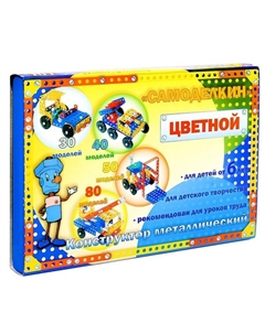 Конструктор « 40», 246 деталей, 40 моделей, цветной Самоделкин