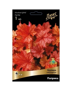 Гейхера (Хеухера) гибридная Паприка, р-р I, 1 шт, Осень 2025 Поиск