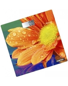 Напольные весы CT-2420 Гербера Centek