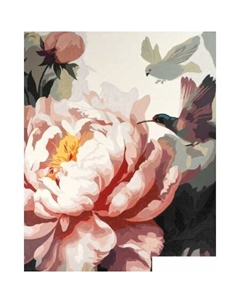 Картина по номерам Розовый цветок 67954 Feniks