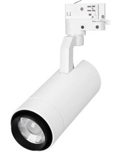 Трековый светильник Arlight LGD-GELIOS-TUNE-4TR-R80-20W Day4000-MIX WH 20-60deg / 039157