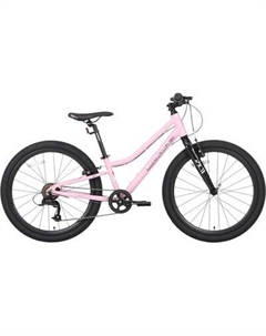 Велосипед Maxiscoo 3bike 24 L 2025 / MSC-M3-2404