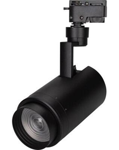 Трековый светильник Arlight LGD-ZEUS-2TR-R88-20W Day4000 BK 20-60deg / 025946(1)