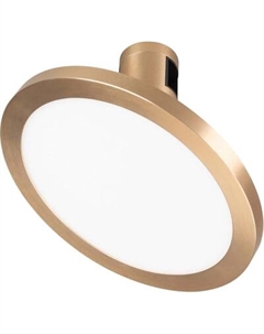 Трековый светильник Arlight ART-APRIORI-PLATO-TURN-R160-12W Day4000 GD 120deg / 044906