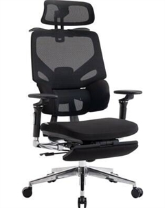 Кресло офисное Evolution LumbarPro Elite