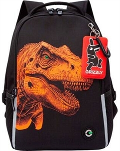 Школьный рюкзак Grizzly RB-551-6