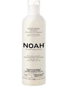 Тонирующая маска для волос Noah Anti-Yellow с экстрактом черники