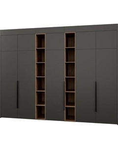 Шкаф Рэйгрупп Рэй S257-В16-2-WKW В16-2