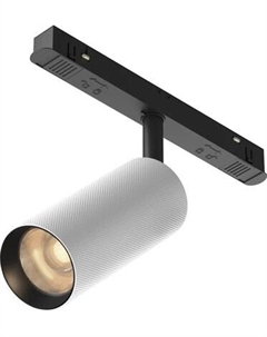 Трековый светильник Maytoni Artisan TR097-2-12W3K-M-BW