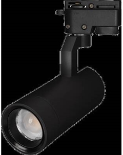 Трековый светильник Arlight LGD-GELIOS-2TR-R67-20W Warm3000 BK 20-60deg / 031238