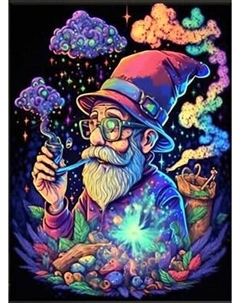 Картина по номерам Флюид Магический мудрец 40x50 / BFH0009