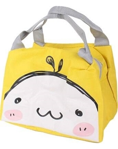 Термосумка Darvish DV-H-1482-8