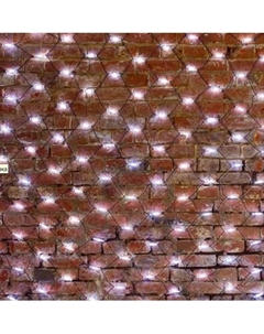 Светодиодная сеть Neon-Night 217-135 Neon-night