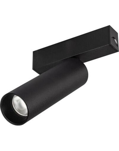 Трековый светильник Arlight MAG-SPOT-25-R120-12W Warm3000 BK 30deg / 033678(1)