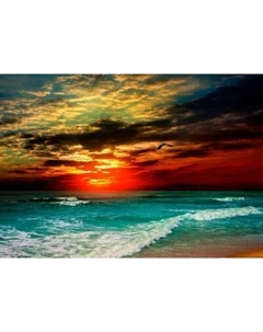 Фотообои листовые Citydecor Море и Водопады 64