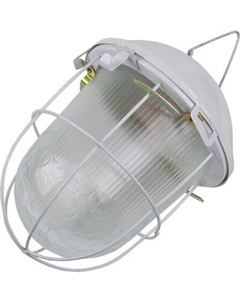 Светильник ЖКХ General Lighting НСП 02-100-002.01 / 437822 General lighting