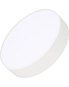 Потолочный светильник Arlight SP-RONDO-R250-30W Warm3000 WH 120deg / 022233(2)