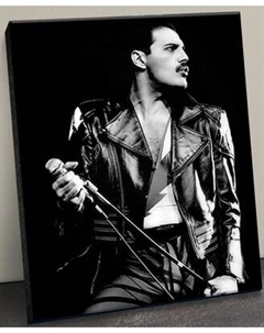 Картина по номерам Флюид Фредди меркьюри 40x50 / BHR0545