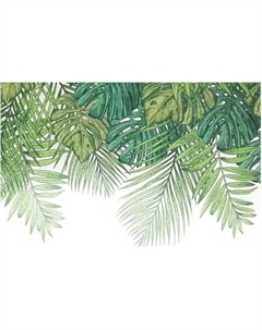 Фотообои листовые Citydecor Цветы и Растения 237