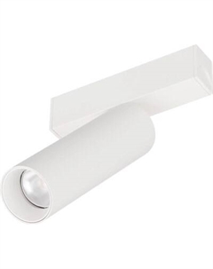 Трековый светильник Arlight MAG-SPOT-25-R120-12W Day4000 WH 30deg / 050076