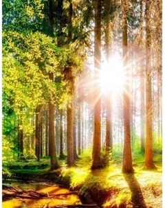 Фотообои листовые Citydecor Природа 149